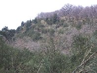 nte Cagliato-20110220 020